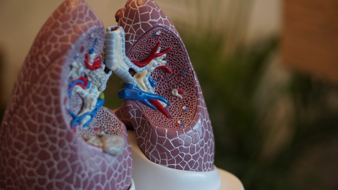 What is an upper Respiratory Infection?